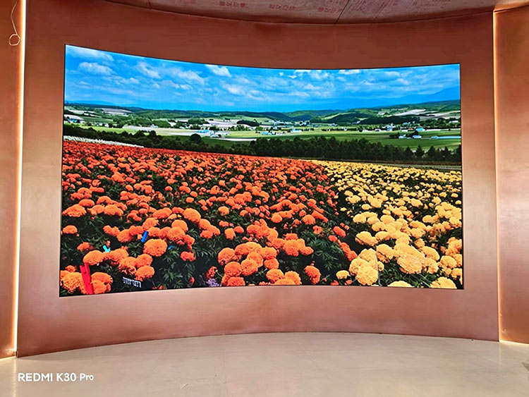 米易枇杷館多媒體項目